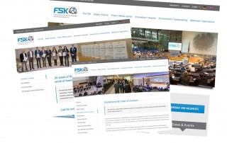 FSK-Homepage in Englisch
